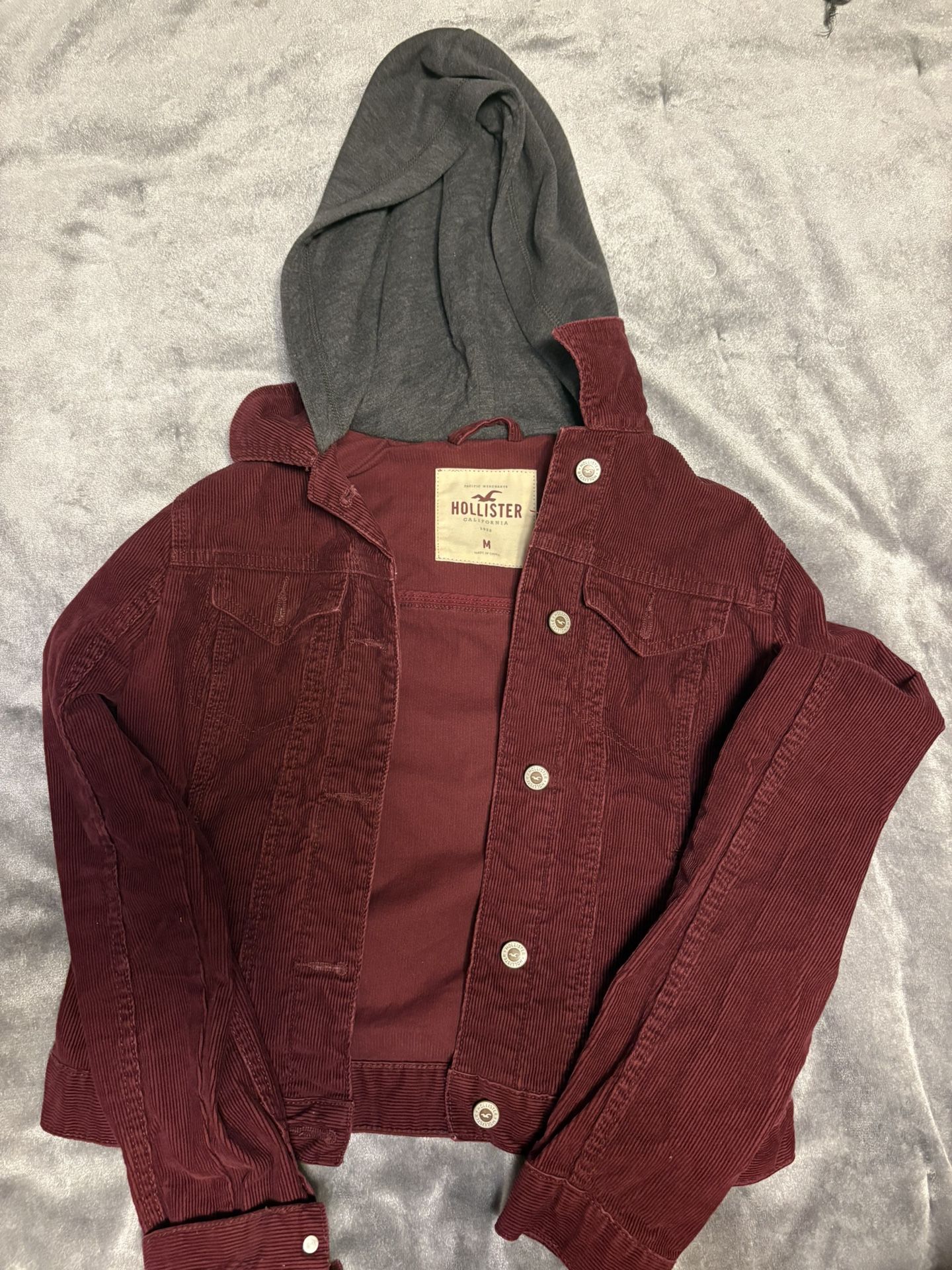 Hollister Jacket