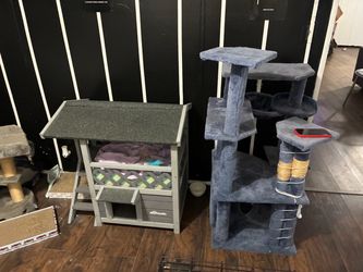 Cat tree and house