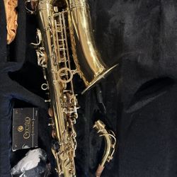 Cecilio Saxophone With Tuner
