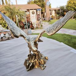 Large Brass Eagle 16" Wingspan 