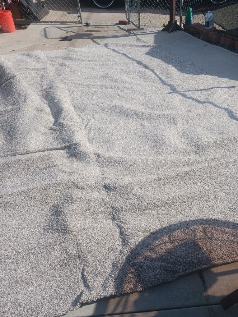 Carpet. Alfombra
