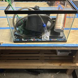Fish Tank