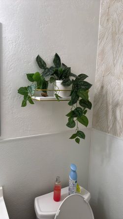Rustic Wood, Floating Shelves For Books Plants Decoration, Gold, White Aesthetic