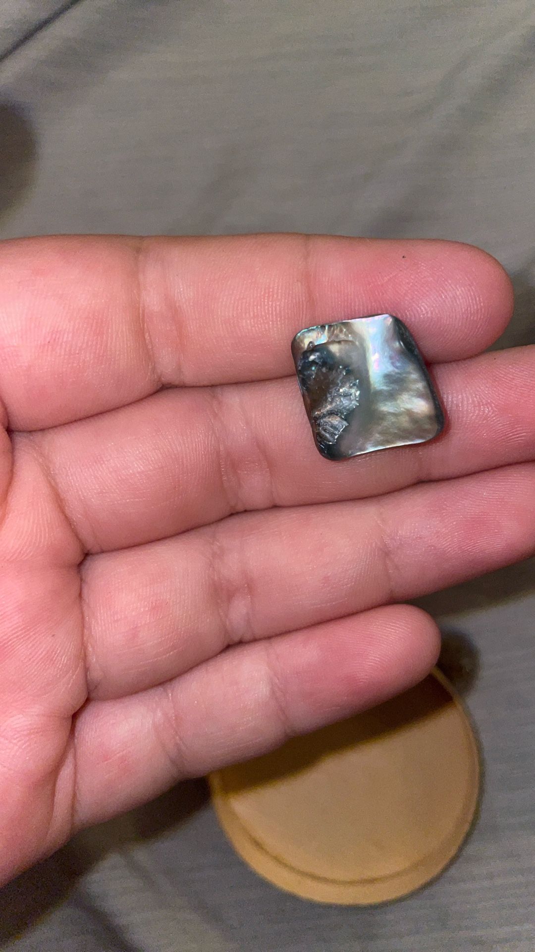 Pearl Real Found On The Beach In Ca