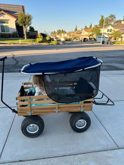 Cart Wheels Wagon with Canopy Cover