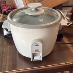Slow Cooker
