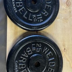 Weight Plates.      40 Dollars 