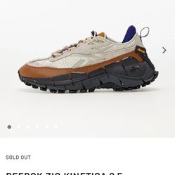 Reebok Unisex-Adult Zig Kinetica 2.5 Sneaker