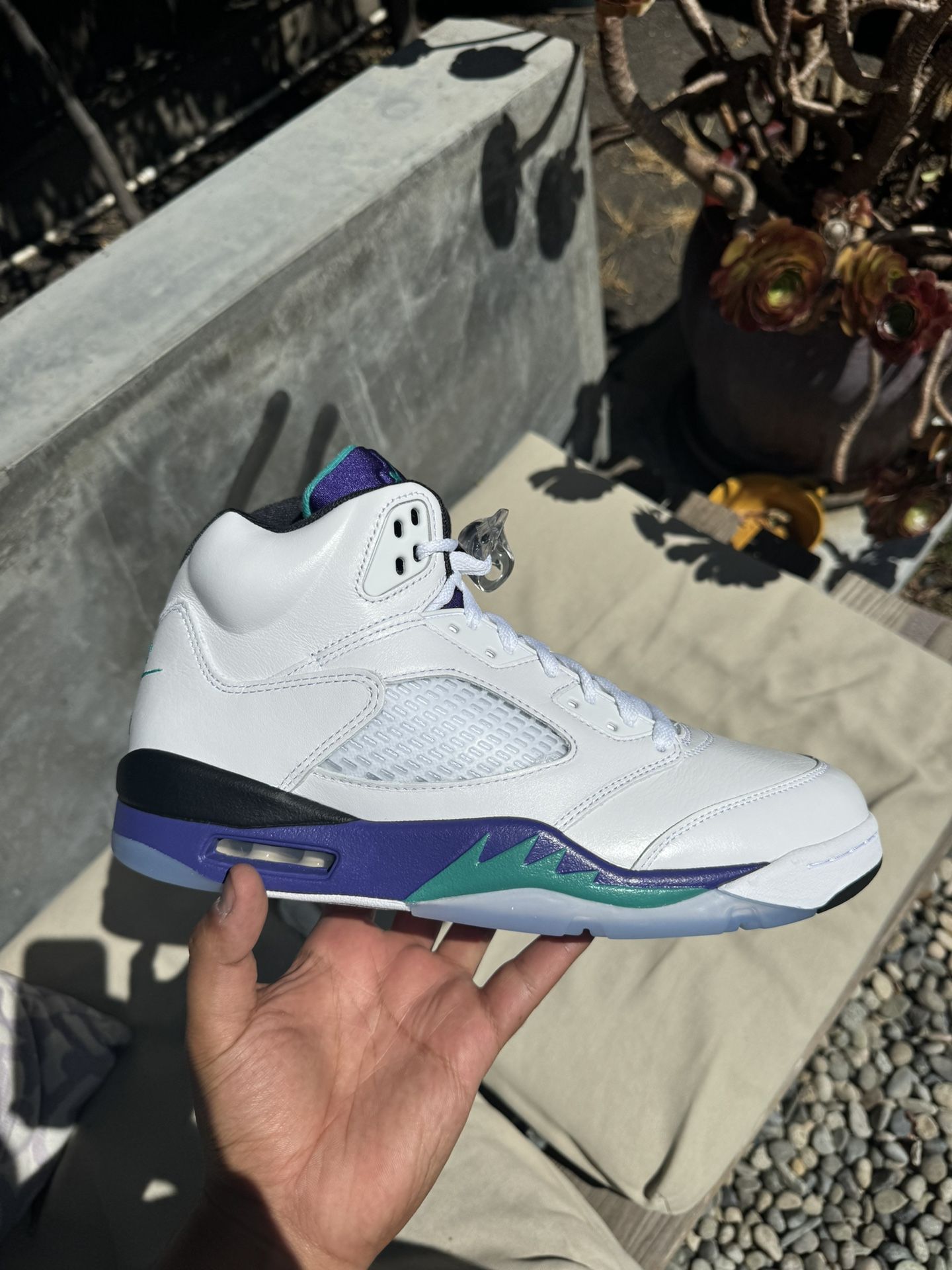 Air Jordan 5 “Grape” Size 10.5-12