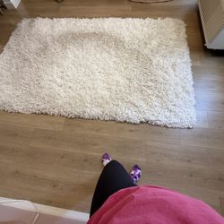 West Elm Cozy Plush Performance Shag Rug