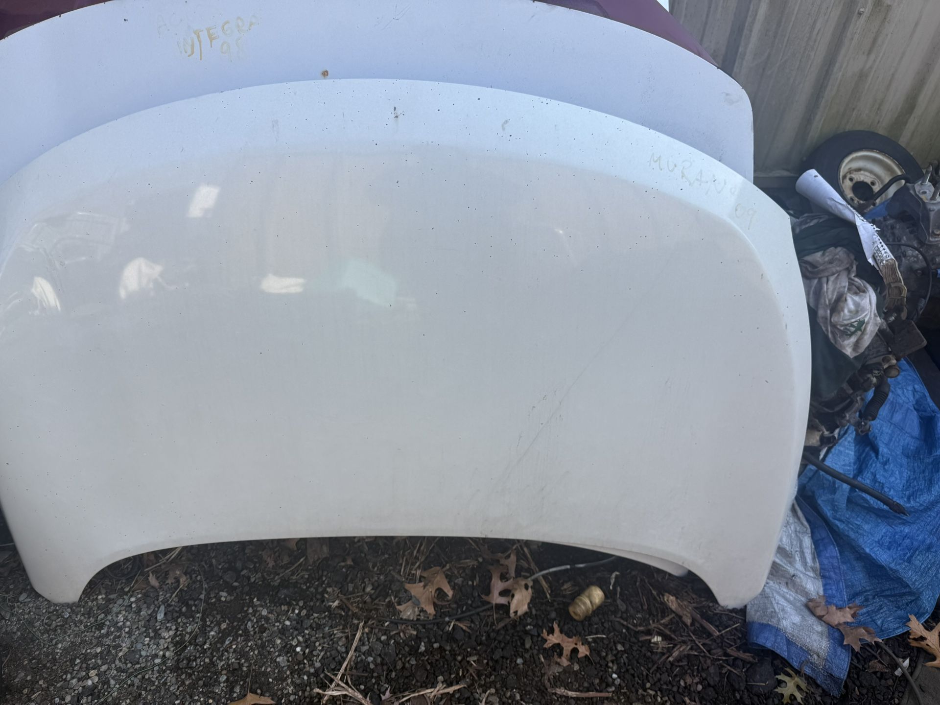 2010 Nissan Murano Hood