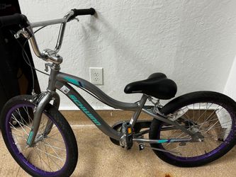 Schwinn Astrid 20” Kids Bike – Gray/Purple – $65 OBO