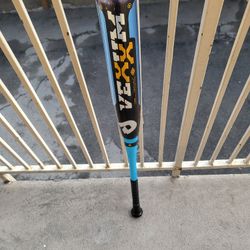 Baseball Bat 34