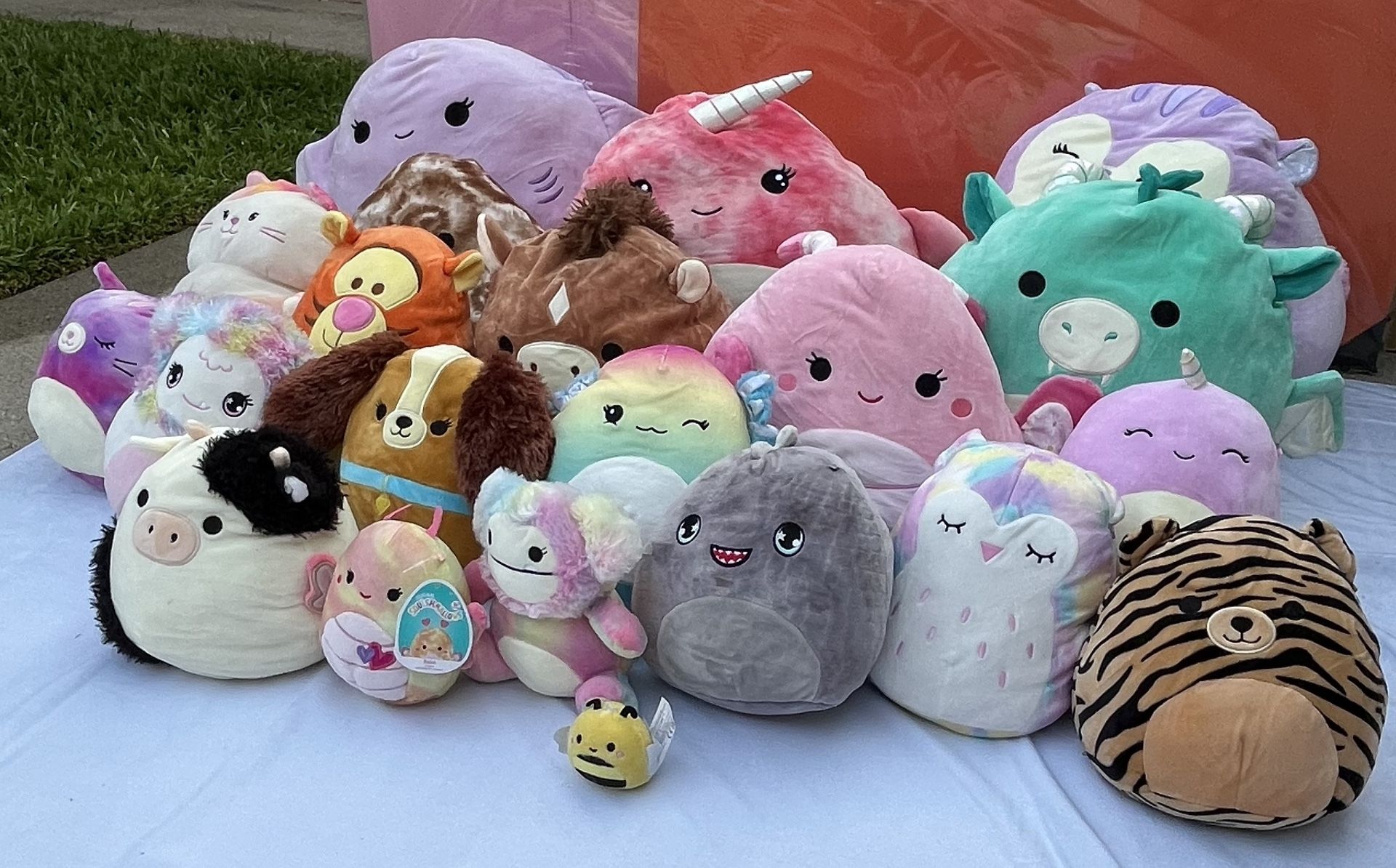 Squishmallow Stuffed Animals.