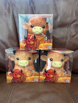 highland cow