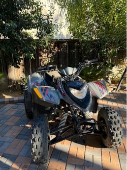 2017 Polaris Phoenix 200