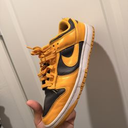 Nike Dunks Size 9