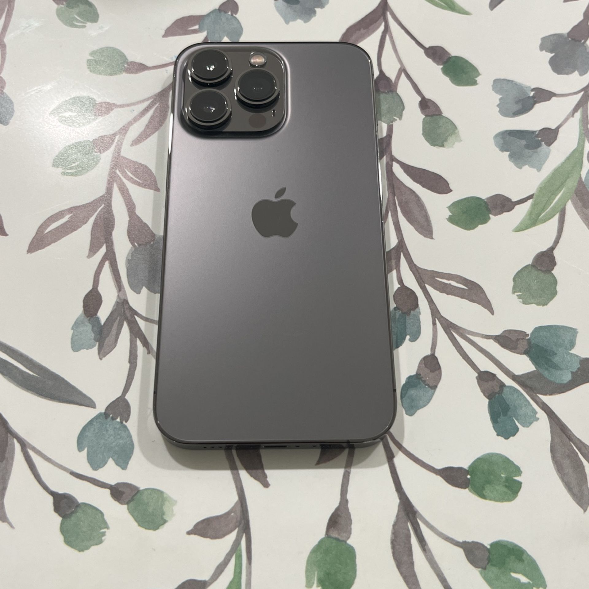 iPhone 13 Pro
