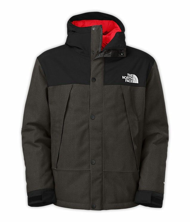 North face ski parka