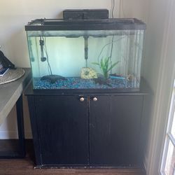 29 Gallon Fish Tank With Stand And Accessories