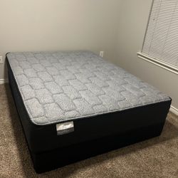 BRAND NEW MATTRESSES   Pricing!