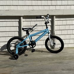 Zane’s Toddler Bicycle 