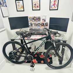 Specialized Rock Hopper Size L