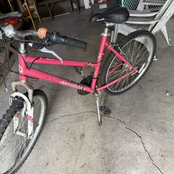 Diamond Back Female Bicycle
