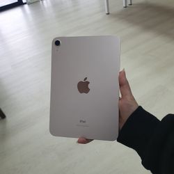 Apple iPad Mini 6 8.3" (WiFi) 64GB Fair Pink