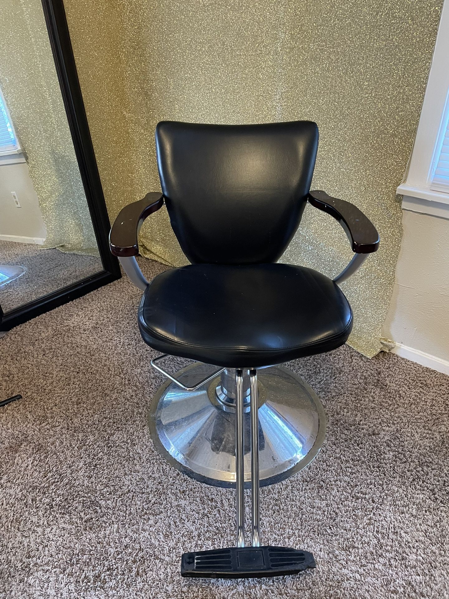 Salon Chair