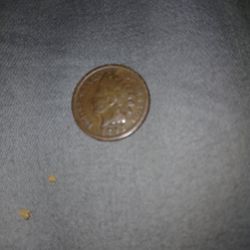 Indian Head 1893 Penny