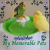 My Memorable Pets