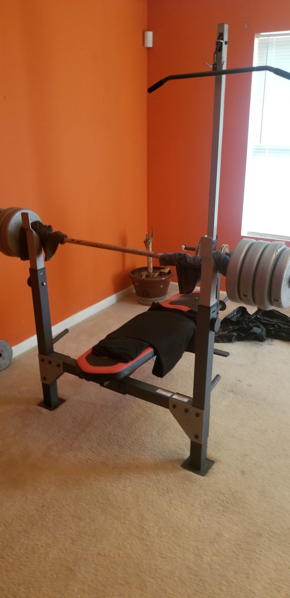 Weight Bench