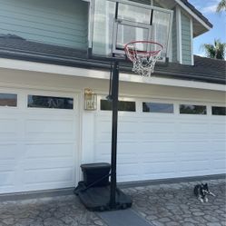 Basketball Hoop Up For Grabs