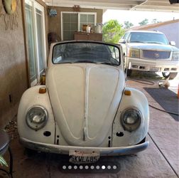 1967 Volkswagen
