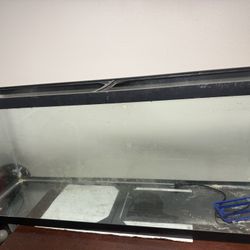 55 Gallon Fish Tank/ Reptile Tank