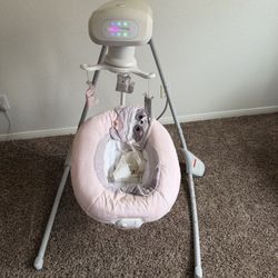 Baby Swing
