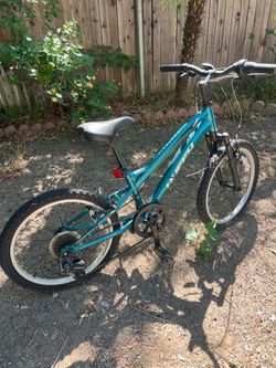 Boys 20” blue bike