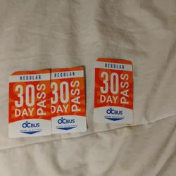 monthly bus passes