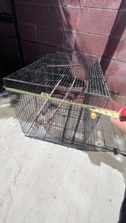 Birds Cage