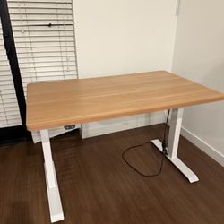 Electric Standing Desk 