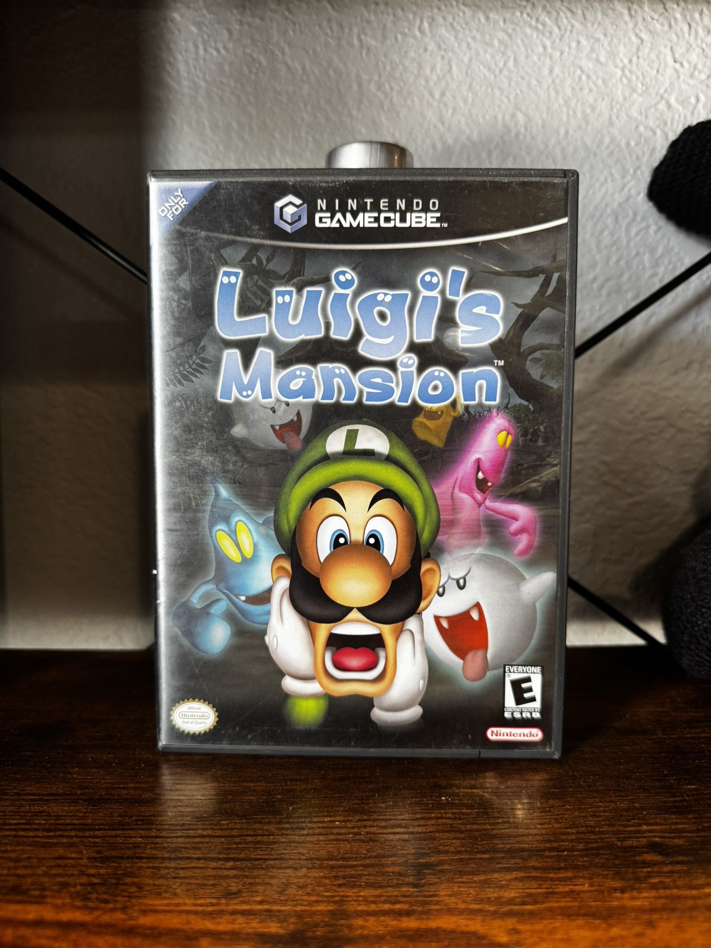 Luigi’s Mansion