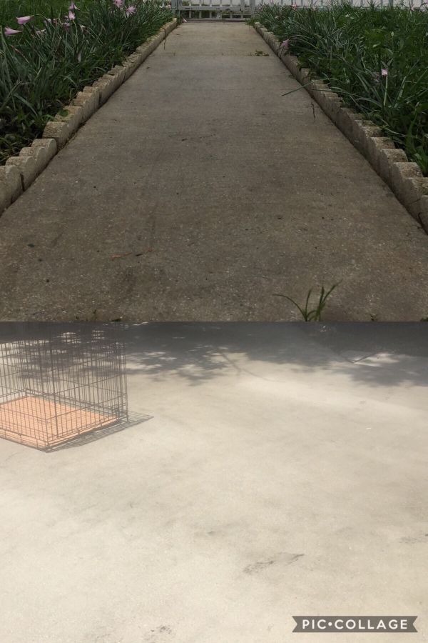 Pressure Cleaning Home Garden In Hollywood Fl Offerup