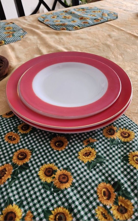 Pyrex Plates