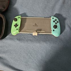 Nintendo Switch Case & Controller