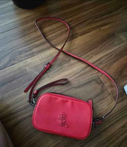 Disney x Coach Crossbody Bag