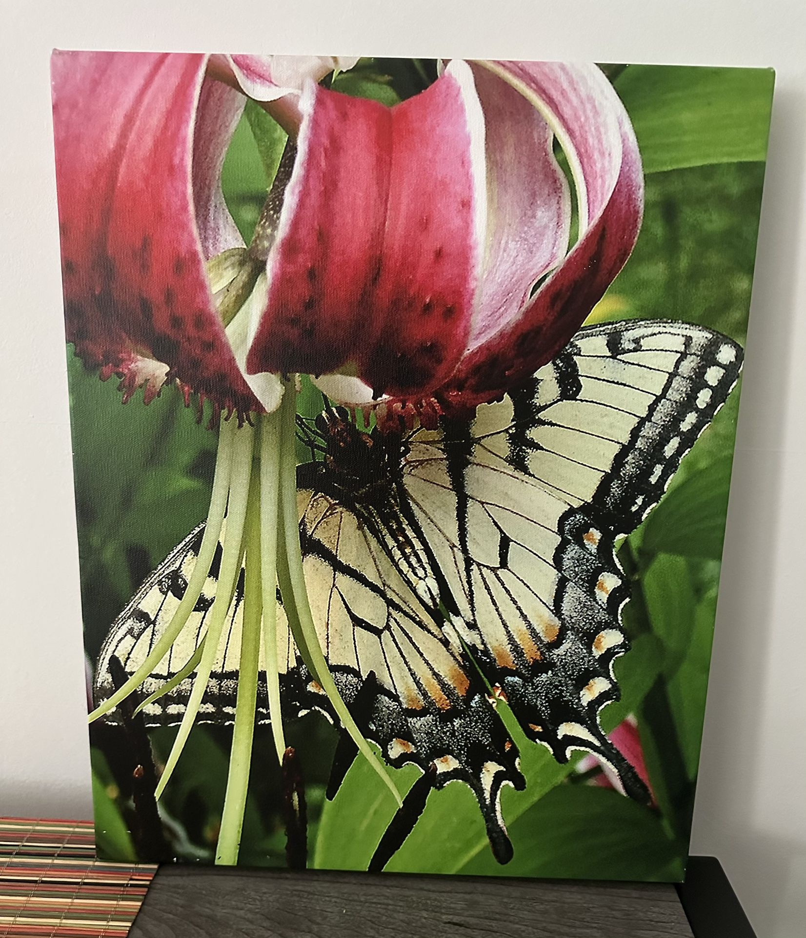 Butterfly Wall Decor 25.00