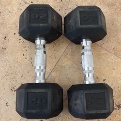 20lb weights