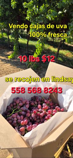 Fresh Red Grapes 10 lb Box