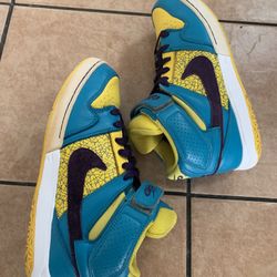 Nike Zoom 6.0 Men Shoes